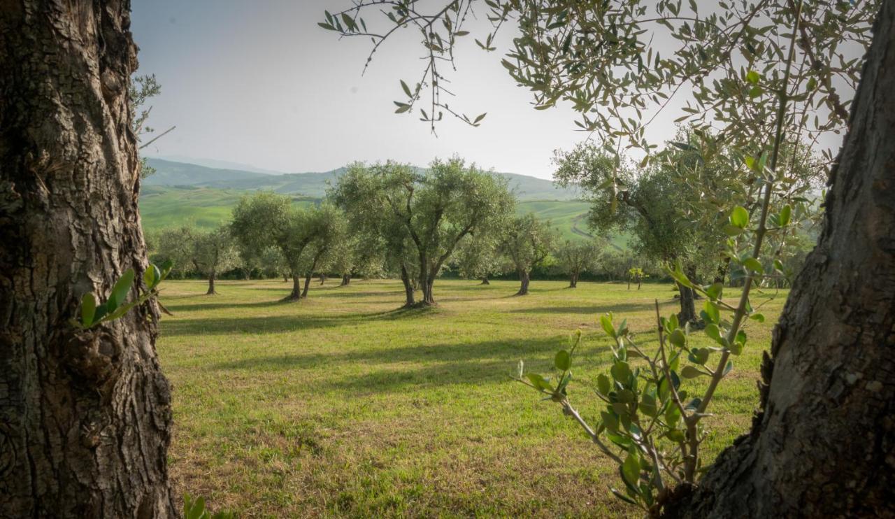 פיינצה Holiday Home Arpicella מראה חיצוני תמונה